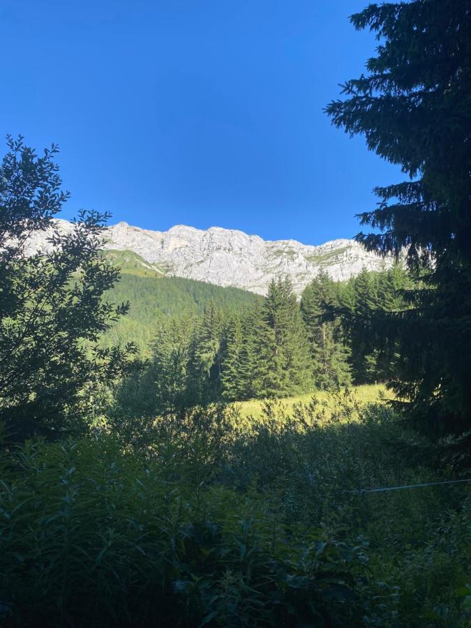 Cretes Du Vercors Vue Magnifique Villard-de-Lans Ngoại thất bức ảnh